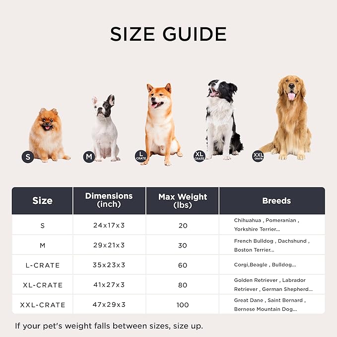 Bedsure Washable Dog Bed Medium Size Dog, Comfort Fluffy Plush Pillow Bed Crate Pad, Non-Slip and Machine Washable Kennel Pet Sleeping Mat, 29"x21", Dark Gray