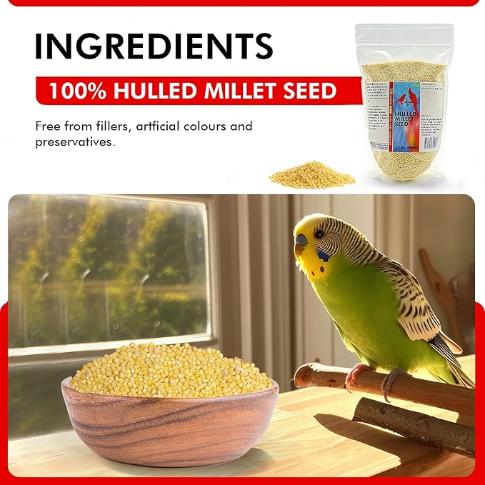 Morning Bird Hulled Millet 1.5 lbs – Nutritious Hulled Millet Seed - Waste Free - No Mess - Easily Digestible with High Fiber, Rich in Vitamins & Minerals for Birds, Ideal Bird Feed for All Bird Types