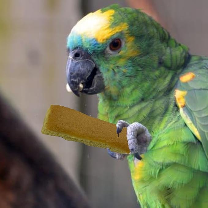 Pallino Mela Biscuits for Birds – 2 Pack Healthy Bird Food, Snack Sticks for Canaries, Finches, Parakeets, Cockatiels & Parrots – Apple Flavored for Canary Treats