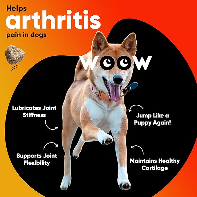 Hip & Joint Supplements for Dogs Soft Chews (90 CT) – Mobility Support + Joint Comfort & Flexibility – Glucosamine + MSM – Made in USA