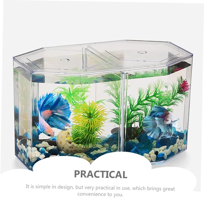 Professional Transparent Fish Breeding Tank Double Space Incubation Box for Fish Easy to Use for Fry and Aggressive Aquarium Supply
