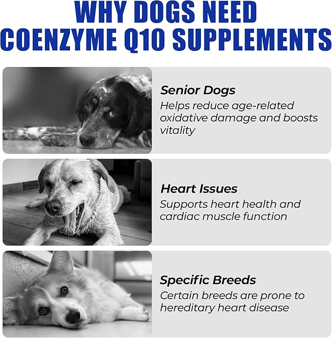 Just Try Coenzyme Q10 Heart Healthy Bites for Dogs, Advanced CoQ10 and Taurine Supplement, Chicken Flavored Soft Chews, Supports Heart Function, 300 Count