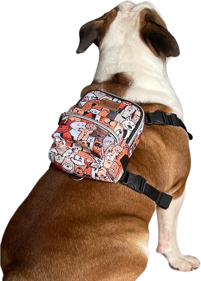 Pawlook Dog Backpack Harness – Street Smart | Waterproof, Adjustable, Breathable – Leash Attachment D-Rings, Poop Bag Pocket – Small & Medium Dogs – 8 Styles Paws Medium