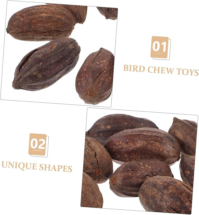 8pcs Parrot Foraging Toy Natural Dried Fruit Chewing Toys Bird for Cage Parrot Chewing Bird Bite