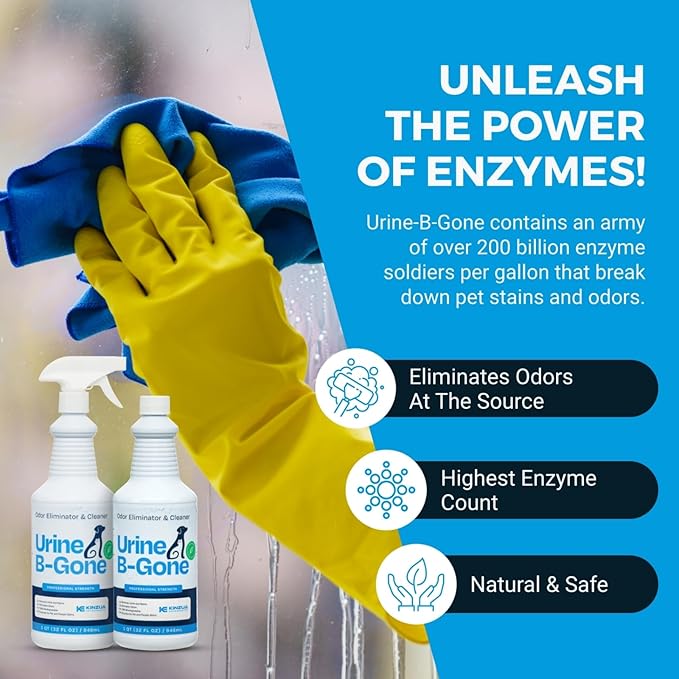 Urine B-Gone, Professional Enzyme Odor Eliminator & Pet Stain Remover, Human, Cat & Dog Urine Cleaner, Effective on Laundry, Carpets & More, Original Scent, 32oz, Pack of Two