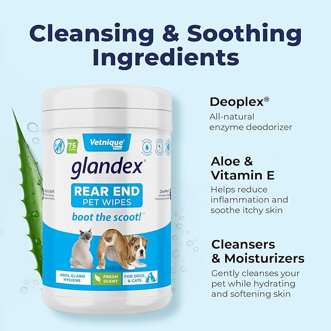 Vetnique Glandex Dog Wipes for Pets Cleansing & Deodorizing Anal Gland Hygienic Dog & Cat Wipes with Vitamin E, Skin Conditioners and Aloe (450ct)