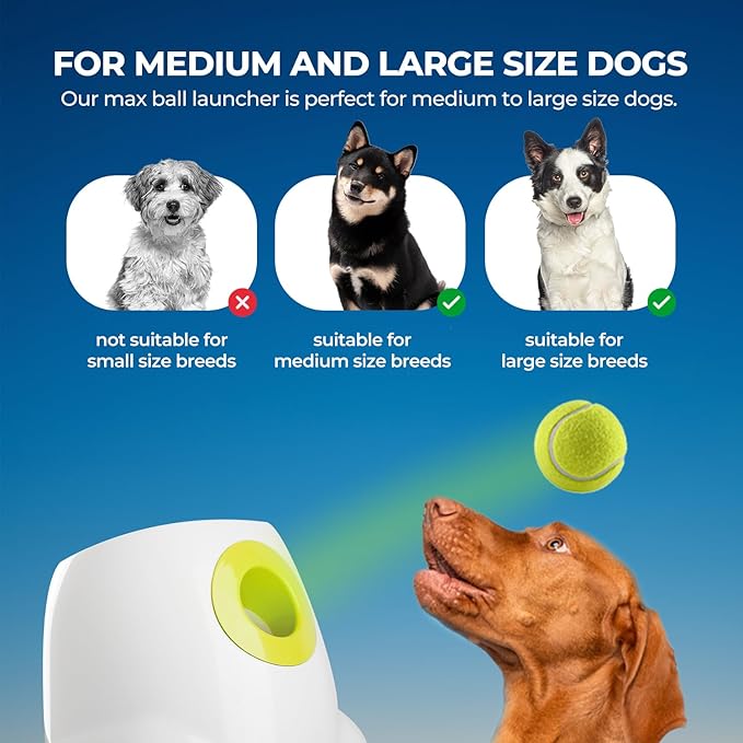 ALL FOR PAWS Automatic Ball Launcher for Dogs Interactive Puppy Pet Ball Outdoor Thrower Fetch Machine, 6 Balls Included (2.5 inch) + Six Tennis Balls Bundle