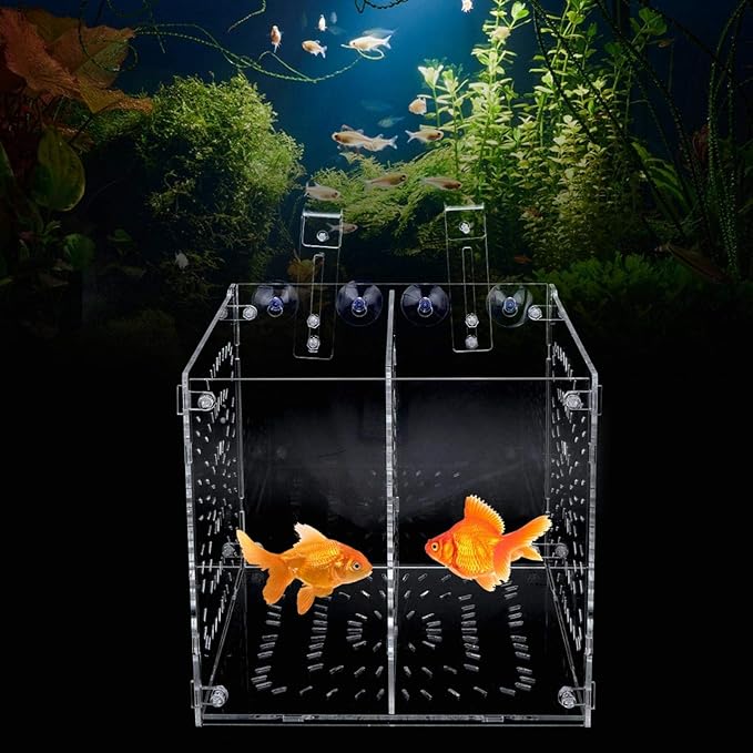 EVTSCAN Aquarium Breeder Box for Fish Tank, Fish Breeding Box Tank Hatchery Incubator Aquarium Isolation Box for Seedlings Incubation(L)
