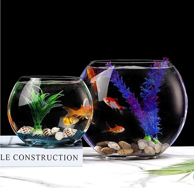 Aquariums Fish Bowl Creative Oval Glass Small Goldfish Fish Tank Home Desktop Decoration Transparent Glass Fish Tank Fish Tanks(XL)