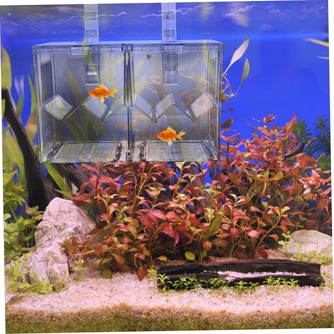 UPKOCH Aquarium Isolation Box for Fish Breeding Tank Hatchery Incubator Safe Separation Container for Juvenile Fish Easy to Clean Smooth Material Protects Fry