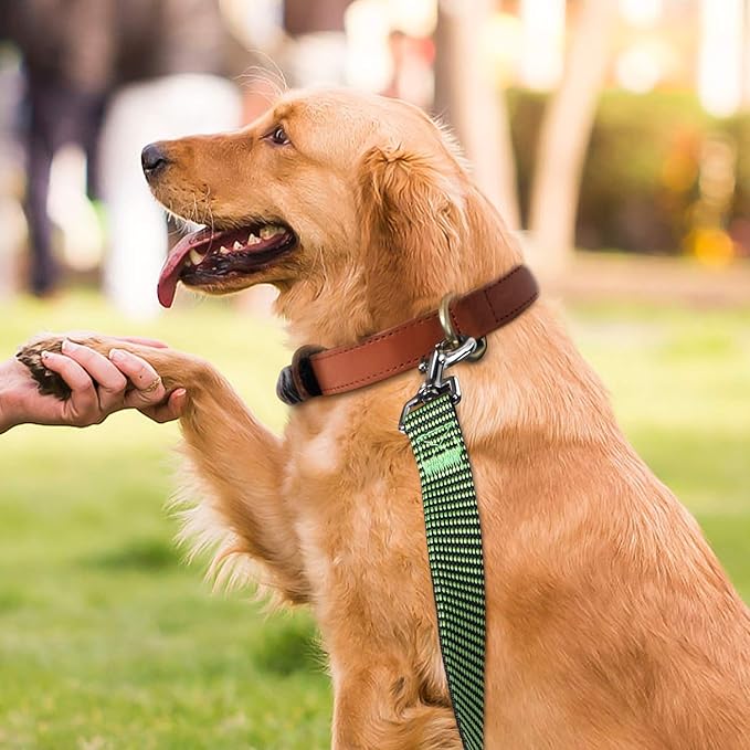 Hi Kiss Dog/Puppy Obedience Recall Training Agility Lead - 15ft 20ft 30ft 50ft 100ft Training Leash - Great for Training, Play, Camping, or Backyard(50ft,Black_Green)