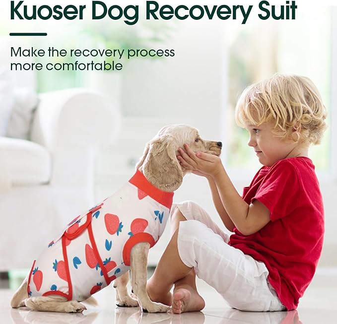 Kuoser Recovery Suit for Dogs After Surgery, Dog Surgical Recovery Suit Female Male Spay Neuter, Anti-Licking Dog Onesie for Abdominal Wounds Skin Disease, Pet Surgery Bodysuit Cone Alternative, XS