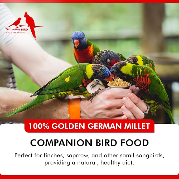 Morning Bird Golden German Millet 1.5 lbs – Natural Millet Seed for Birds – Natural Protein & Fiber Source – Easy-to-Digest Daily Nutrition for All Bird Types