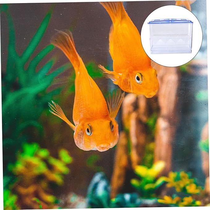 BESPORTBLE 1pc Fish Hatching Box Sturdy Aquarium Breeding Tank Small Fish Incubation Tank