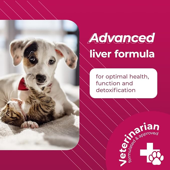 VetriScience Same Liver Health Tablets, 90 mg S-Adenosyl-Methionine Liver Health and Detox Supplement for Cats and Small Breed Dogs Under 13 Pounds, Glutathione Antioxidant Liver Support, 30 Count