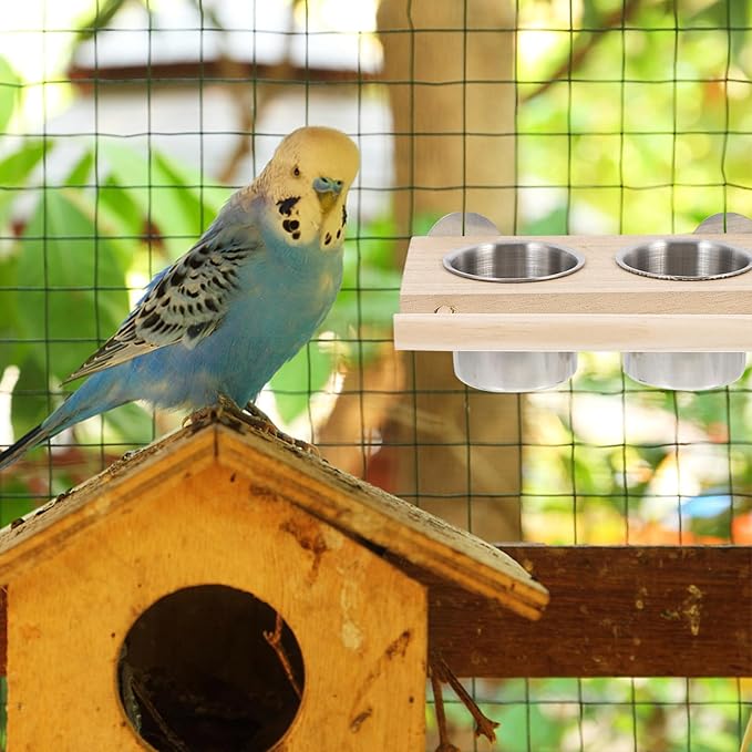 HEMOTON Parrot Feeder Bird Cage Food Container 1 Stainless Steel Bowl with Stand 1 Fruit Fork 2 Rattan Balls Set Bird Feeding and Watering Supplies Random Color