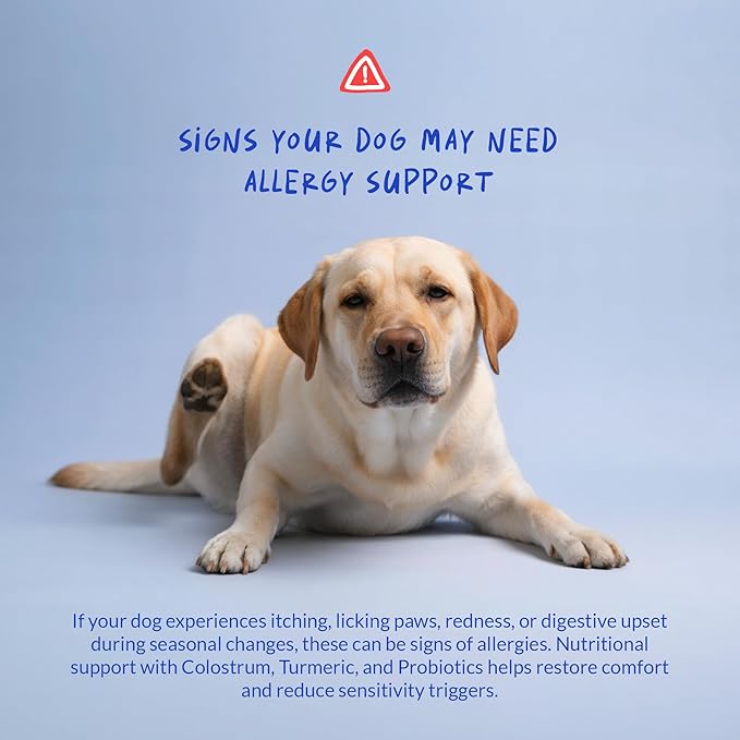 Allergy Support for Dogs - with Vitamin C, Omega 3 and Colostrum - Itch Relief, Allergy Relief for Dogs, Skin Soother - with Probiotics for Immune System Health (Chewable Tablets)