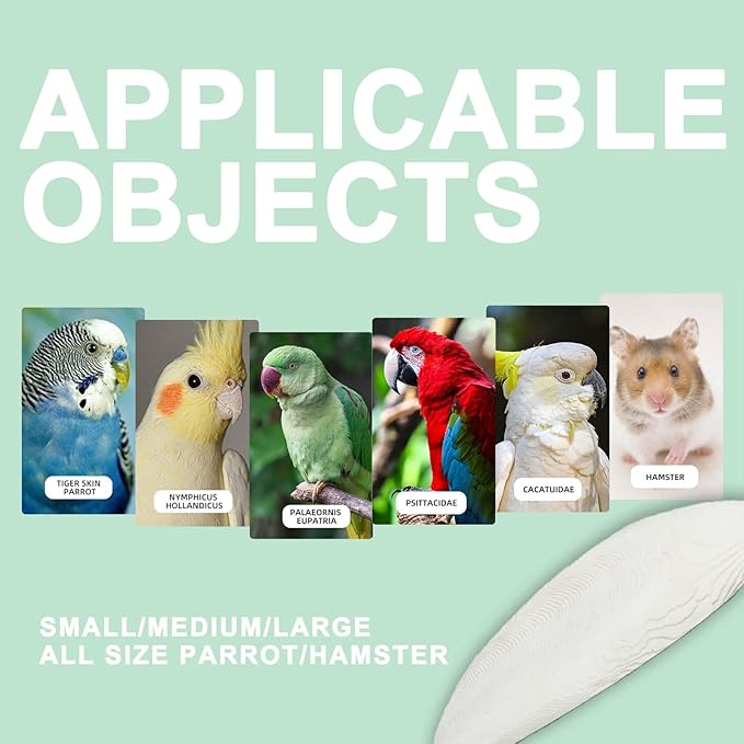 Natural Cuttlebone for Birds Parakeets Canaries Cockatiels Small Conures Mynahs Toucans African Greys All Parrots Snails Totoise, with Holder for Bird Cage (6"-6.5",2 Per Pack)