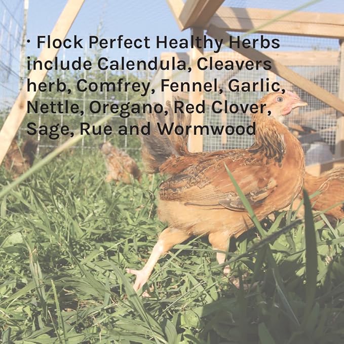 Flock Perfect Healthy Herbs, 12oz