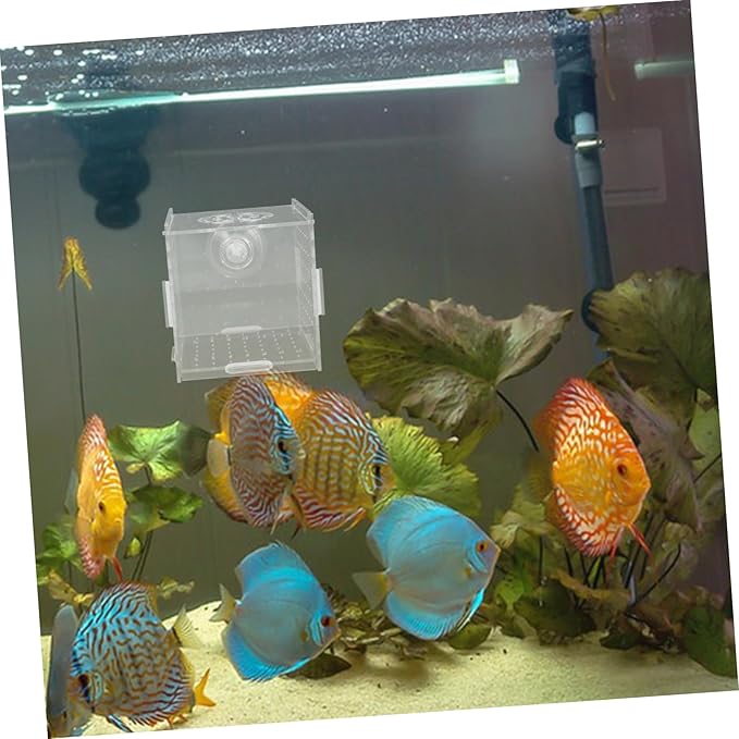 Milisten Breeder Box for Fish Tank Transparent Acrylic Isolation Box Aquarium Fish Breeding Trap