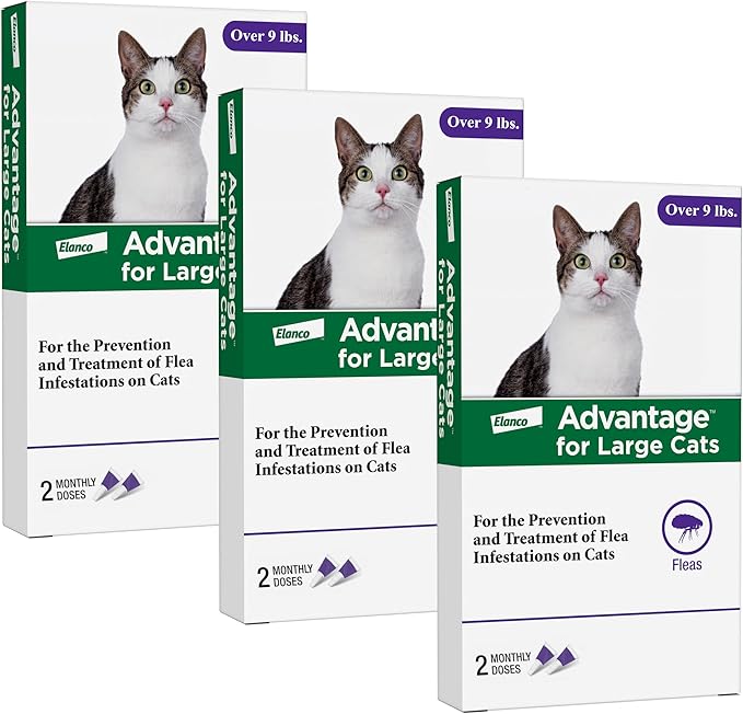 Advantage Topical Cat Flea Treatment and Prevention for Large Cats Over 9 lbs. | Apply Flea Drops Monthly | 2 Treatments,(Pack of 3)