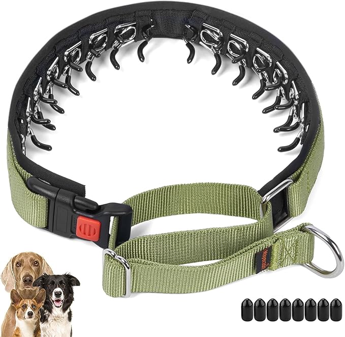 Mayerzon No Pull Dog Collar, Patented Martingale Collar for Small Medium Large Dogs with Buckle and Heavy Duty Nylon for Walking Training Hunting, Safe and Easy to Use(M, Green)