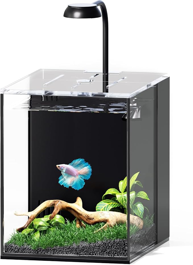 2 Gallon Fish Tank Aquarium Kit with Hidden Filtration, LED Light, Lid, Small Rimless Glass Betta Tank
