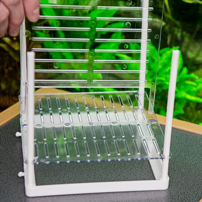 Hobby Nido 3.1, Ablaichbehlter, 16x16x14 cm, Plastic Fish Breeding Tank, Vivarium Brood Box