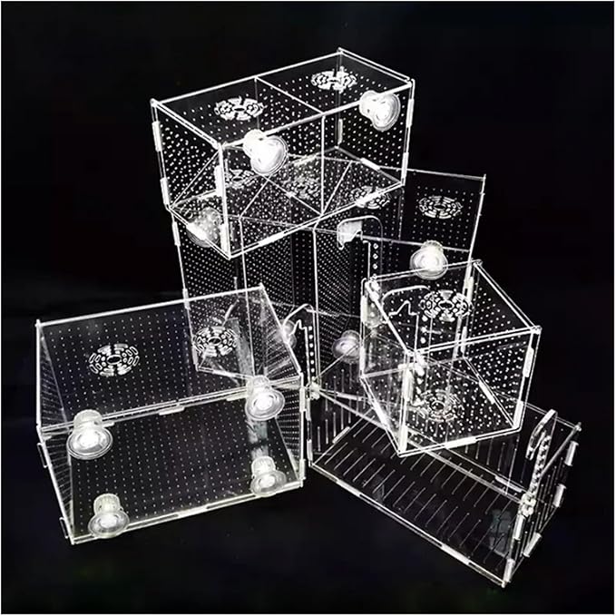 Transparent Acrylic Aquarium Isolation Box - Single & Double Grid Fry Breeding Tank for Fish Hatcheries(Sucker)
