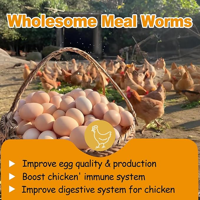 2LB Dried Mealworms, Non-GMO Meal Worms for Chickens & Birds, High Protein Chicken Feed, Natural Chicken Worms Ideal for Wild Birds, Reptile Tasty Bird Food