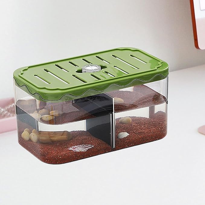 Aquarium Breeding Box Tabletop Fish Tank Versatile Acclimation Hatchery with Removable Divider for Guppy Betta Desk, Green