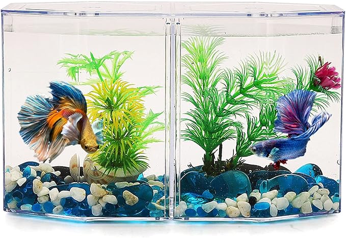 Aquarium Fish Breeder Isolation Box - Multipurpose Transparent Octagonal Acrylic Hatching Incubator for Breeding