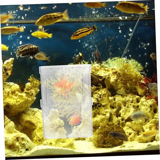 BESPORTBLE 4pcs Small Fish Tank Isolation Boxes for Guppy Breeding Aquarium Separation Container Suction Cups for Newborn Fish and Pregnant Care