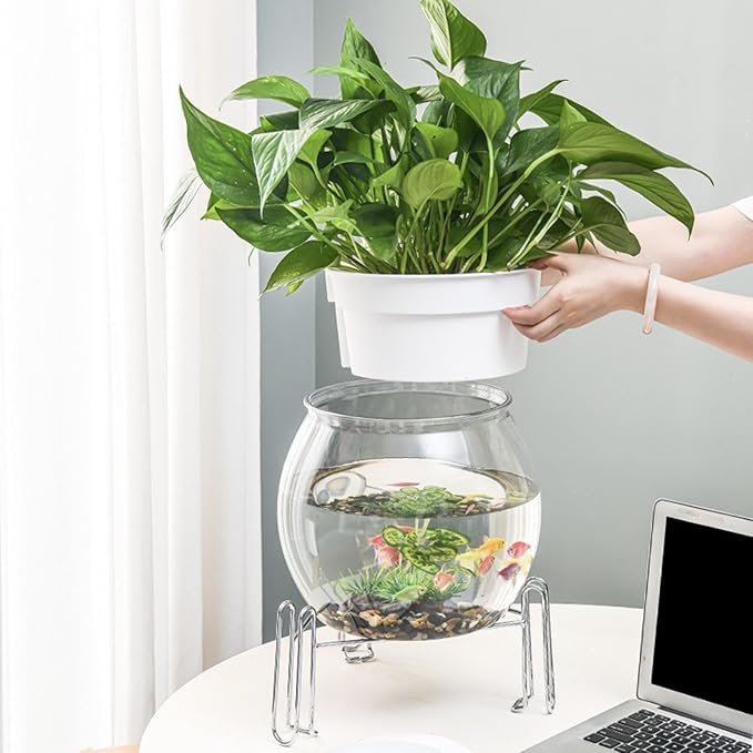 Desktop Fish Bowl Aquarium Hydroponic Planter Creative for Home Landscaping for Living Room with Stand Transparent 2 in 1, 23.5cmx31cm