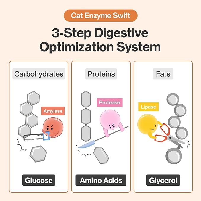 Doctor By Cat Enzyme Swift Cat Digestive Enzyme Supplement Vomiting Diarrhea, Loss of Appetite, Hairball with Pancreatine, Papain, Bromelain, Micro-Size for Easy Swallowing, 60 Sprinkle Capsules