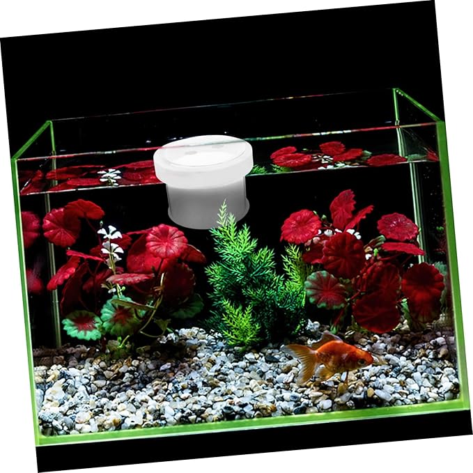 BESPORTBLE Floating Aquarium Breed Box Acrylic Fish Tank Hatchery with Design for Fish Observation Easy to Use and Adaptable