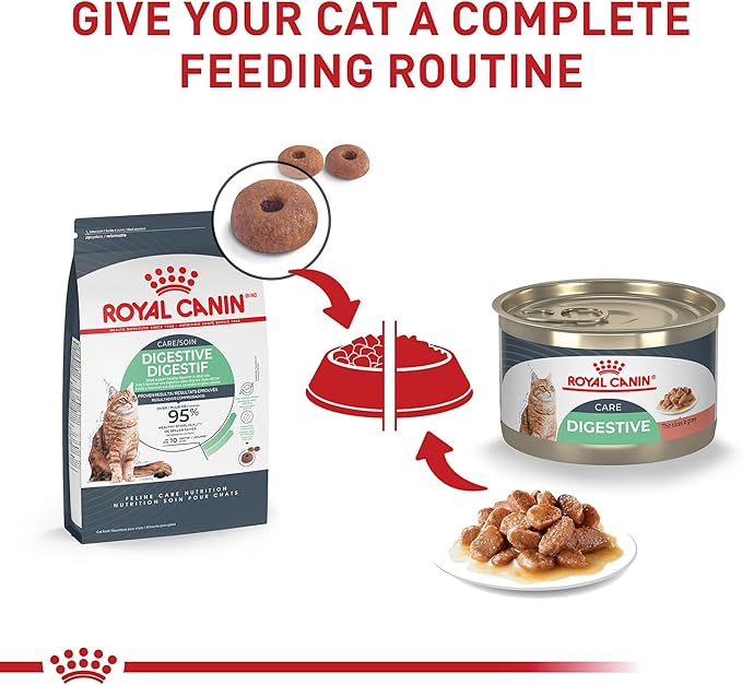 Royal Canin Feline Care Nutrition Digestive Care Adult Thin Slices in Gravy Cat Food, 5.1 oz (Pack of 24)
