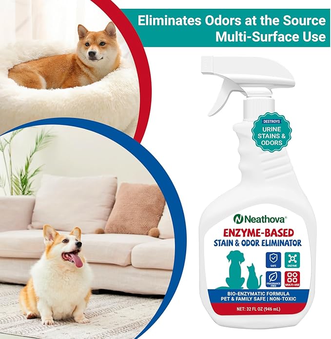 Stain & Strong Odor Eliminator, Enzyme Cleaner, Pet Odor Eliminator for Home - Carpet Stain Remover for Cats & Dog Pee - Urine Destroyer - Carpet Cleaner Spray Clear (Unscented)