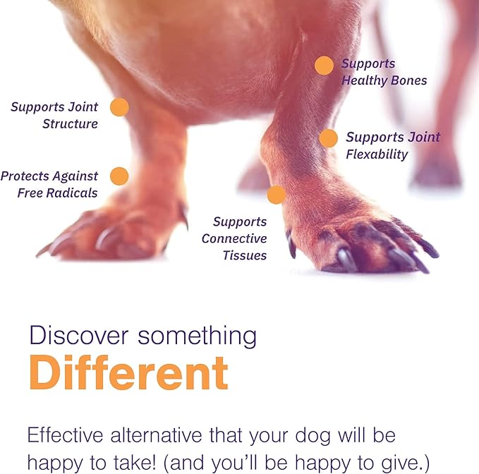 MOVOFLEX Soft Chews Hip and Joint Support Supplement for Medium Dogs -120 Count by Virbac