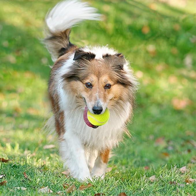 6 Pack Mini Tennis Balls for Pet Playing Fecth, 2 inch Dogs Training Tennis Balls for Small Size Dogs, Interactive Dog Playing Balls Fits 2 inch Dog Ball Launchers…