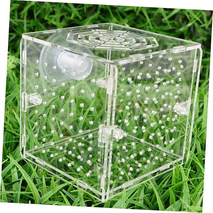 Beaupretty Aquarium Isolation Tank Acrylic Fish Breeding Box for Eggs Protection Observation