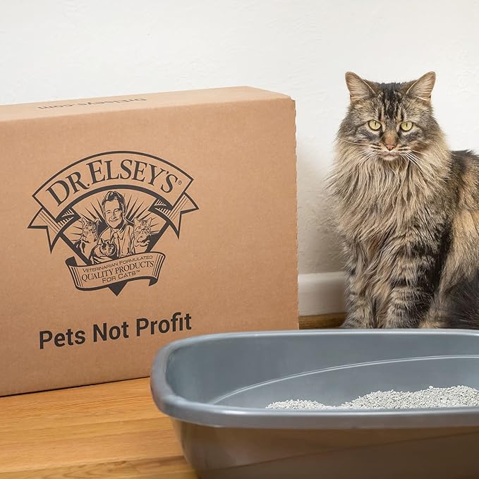Dr. Elsey's R&R Stress-Reducing Clumping Clay Cat Litter 18 lb. Bag