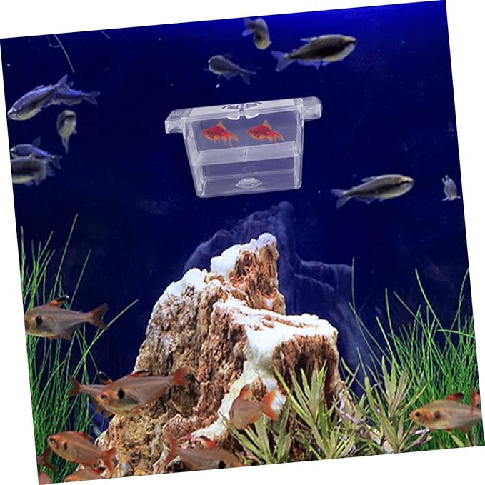 Beaupretty 4pcs Self-Floating Fish Fry Breeding Box Aquarium Nursery Incubator with Dual-Layer Separation for Betta Fish Tank Protection and Observation