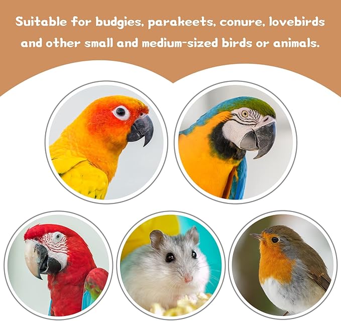 36 PCS Bird Perches Stand Toy, Natural Wood Parrot Perch Stand Bird Cage Branches Platform Accessories for Parakeets Cockatiels Conures Macaws Finches Love Birds