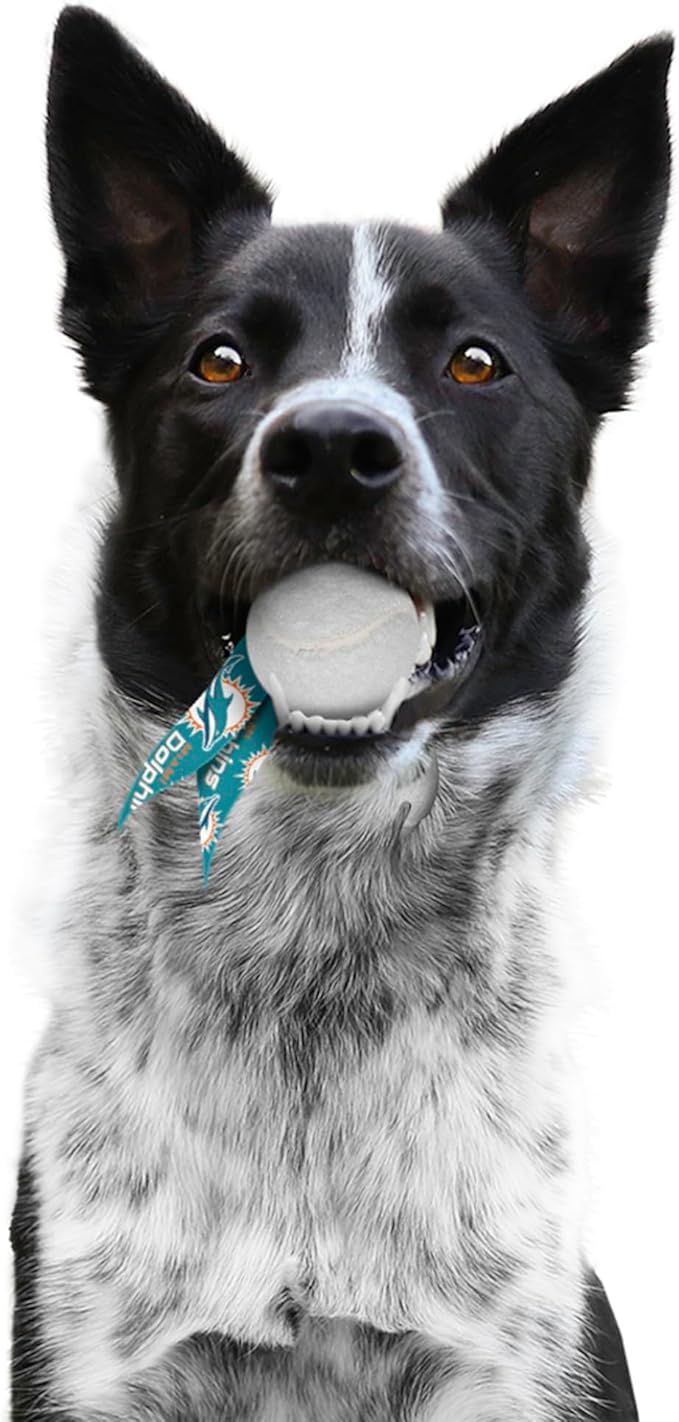 Littlearth NFL Pet Ball Launcher