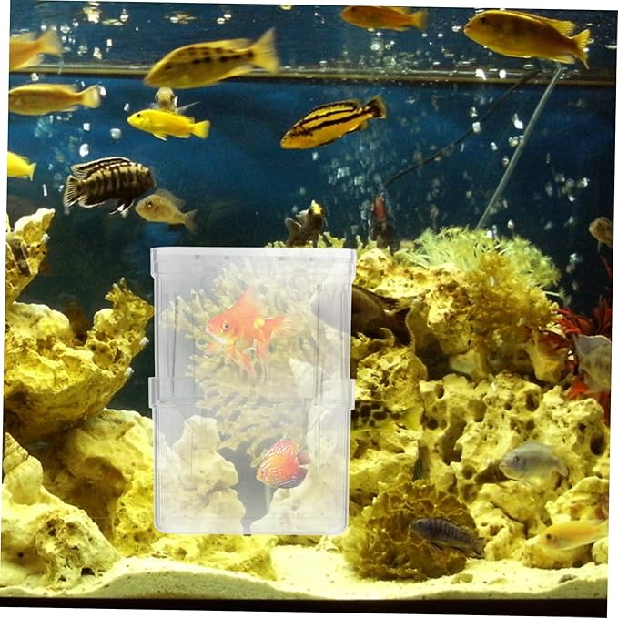 Kisangel 4pcs Aquarium Separation Container Small Fish Tank Fish Breeding Box Fry Hatchery Incubator Isolation Box