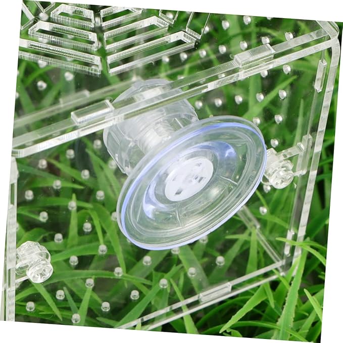 BESPORTBLE Acrylic Fish Breeding Box Live Fish Isolation Tank Breeding Hatching Box for Aquarium Round Hole Suction Cup