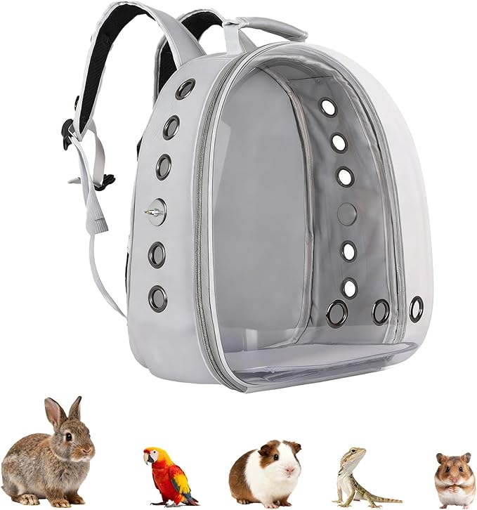 Transparent Parrot Backpack,12 Holes Ventilate Space Capsule Carrier,Stick Wooden Standing Perch,Portable Double Shoulder Outdoor Pet Backpack Carrier for Birds and Pets (Gray,Without Stick)