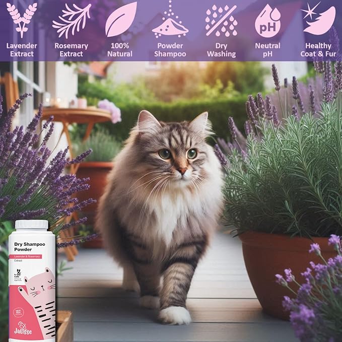 Cat Dry Shampoo Powder with Lavender and Rosemary for Cats 5.29 fl. oz| Grooming for Cat | Kitten Sensitive Skin | Cleansing and Moisturizing Perfume and Talc Free (2)