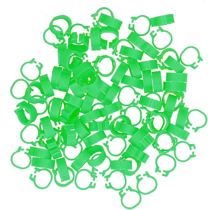 Fydun 100PCS S Leg Rings, 8mm Pigeons Identification Poultry Plastic Bird Foot Clip Pool Vacuum Hoses Bands No Words SuppliesOrange Health Supplies Band for Identify Orange (Green)